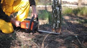 Lawn Grading and Leveling in Shoreview, MN